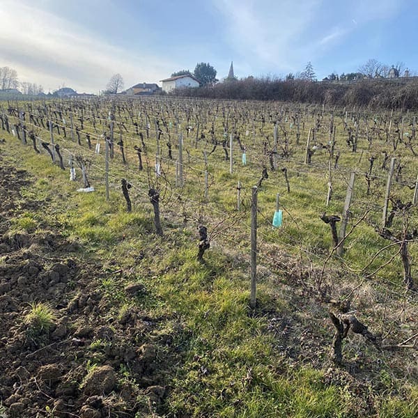 Entreprise de travaux agricoles Saint André de Cubzac et Ambarès - Texte 01